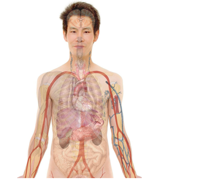 Contestualizzazione terapeutica dei biomarcatori nel paziente con adenocarcinoma gastrico e della giunzione gastro-esofagea